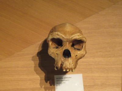 07-21 Museum Man 04