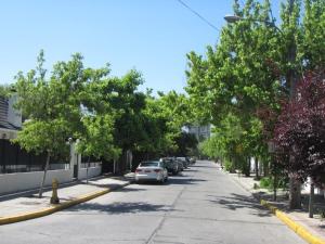 IMG_0359A